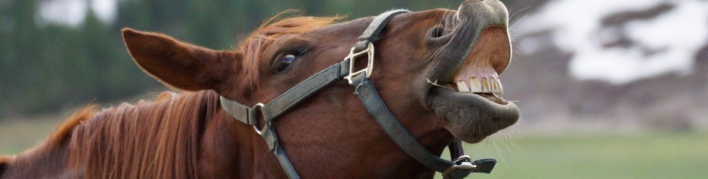 Minecraft-maker lanceert Cliffhorse