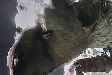 It's time for your latest update on The Last Guardian