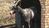 Vídeo live action de Goat Simulator
