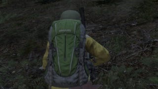 DayZ announced for PS4