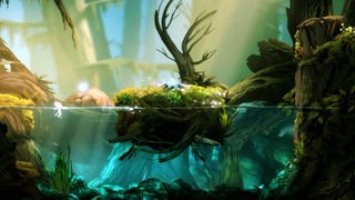 Ori and The Blind Forest slitta al 2015