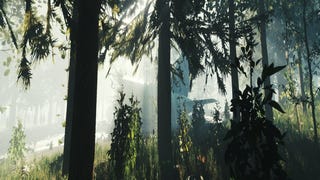 PlayStation 4-versie The Forest in 2015 uit
