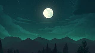 Watch: Picture perfect - how we use photography in games