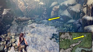 Shadow of the Tomb Raider - sekrety i znajdźki: Kuwak Yaku