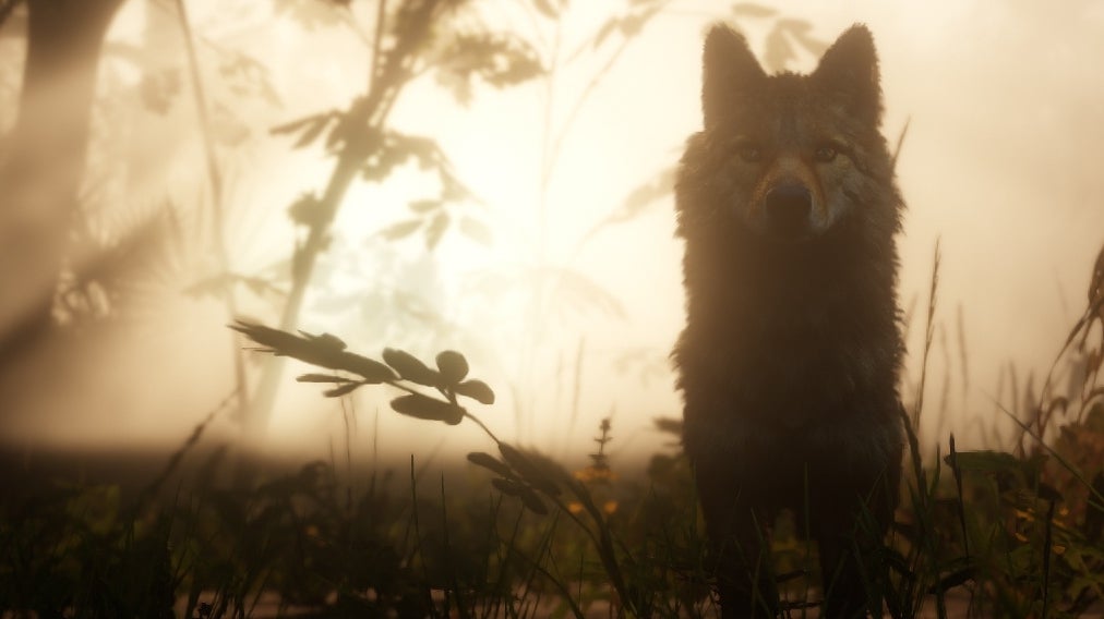 Red Dead Redemption 2 terá cerca de 200 espécies de animais | Eurogamer.pt