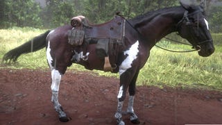 Red Dead Redemption 2: Alle Pferde und wie ihr das beste Pferd fangt