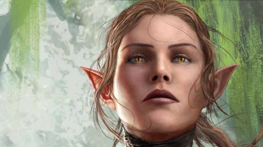 Divinity Original Sin 2 is getting gift bags