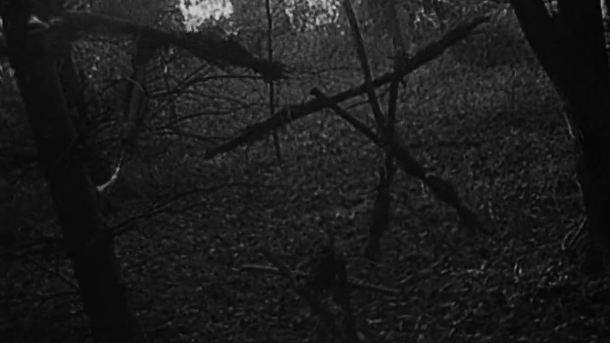 Blair Witch aangekondigd