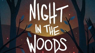 Night in the Woods developer Alec Holowka has died