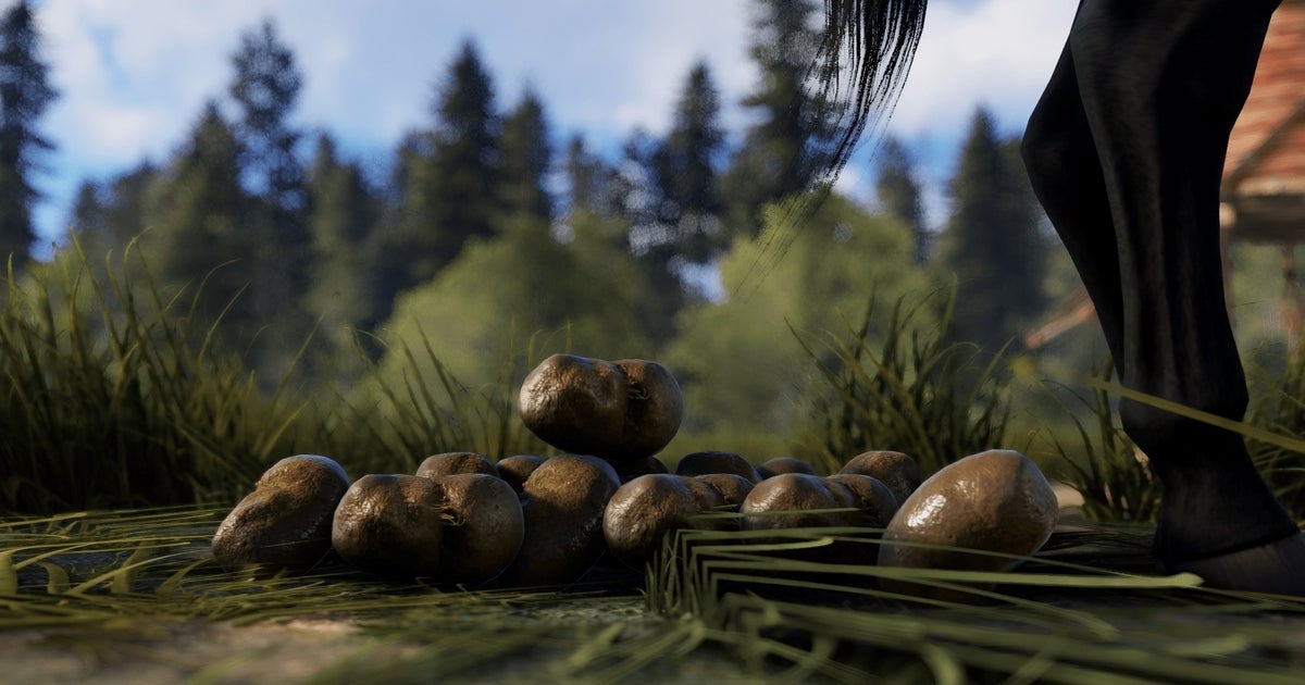 Rust Poop Rust revamps farming system, adds horse poop | Eurogamer.net