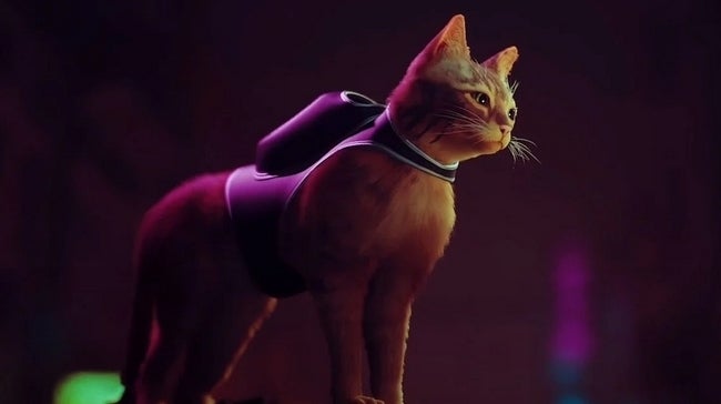 Stray komt in 2021 naar pc en PlayStation 5