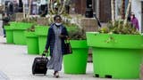 Walsall council criticised for enormous "Super Mario" plant pots