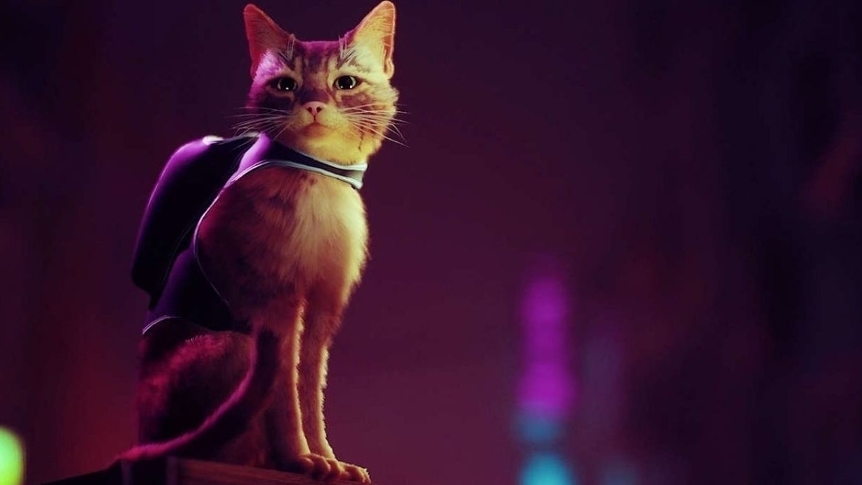 Stray | Eurogamer.es