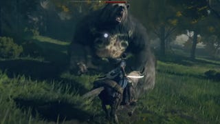 Jogador atravessa barreiras da beta de Elden Ring e encontra urso gigante