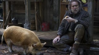 Pig - Un film che sorprende