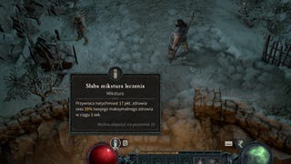 Diablo 4 - więcej mikstur leczenia