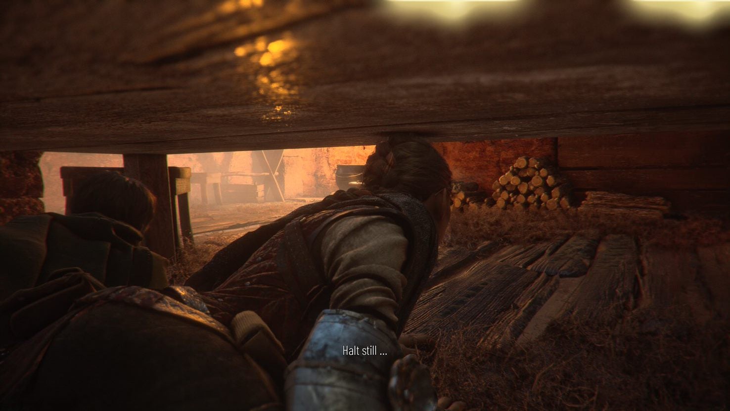 A Plague Tale Requiem Kräuterkundler Retten A Plague Tale Requiem: Rette den Kräuterkundler, Nachtschatten finden