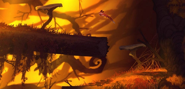 Seasons After Fall Has Arrived With Cute Animals