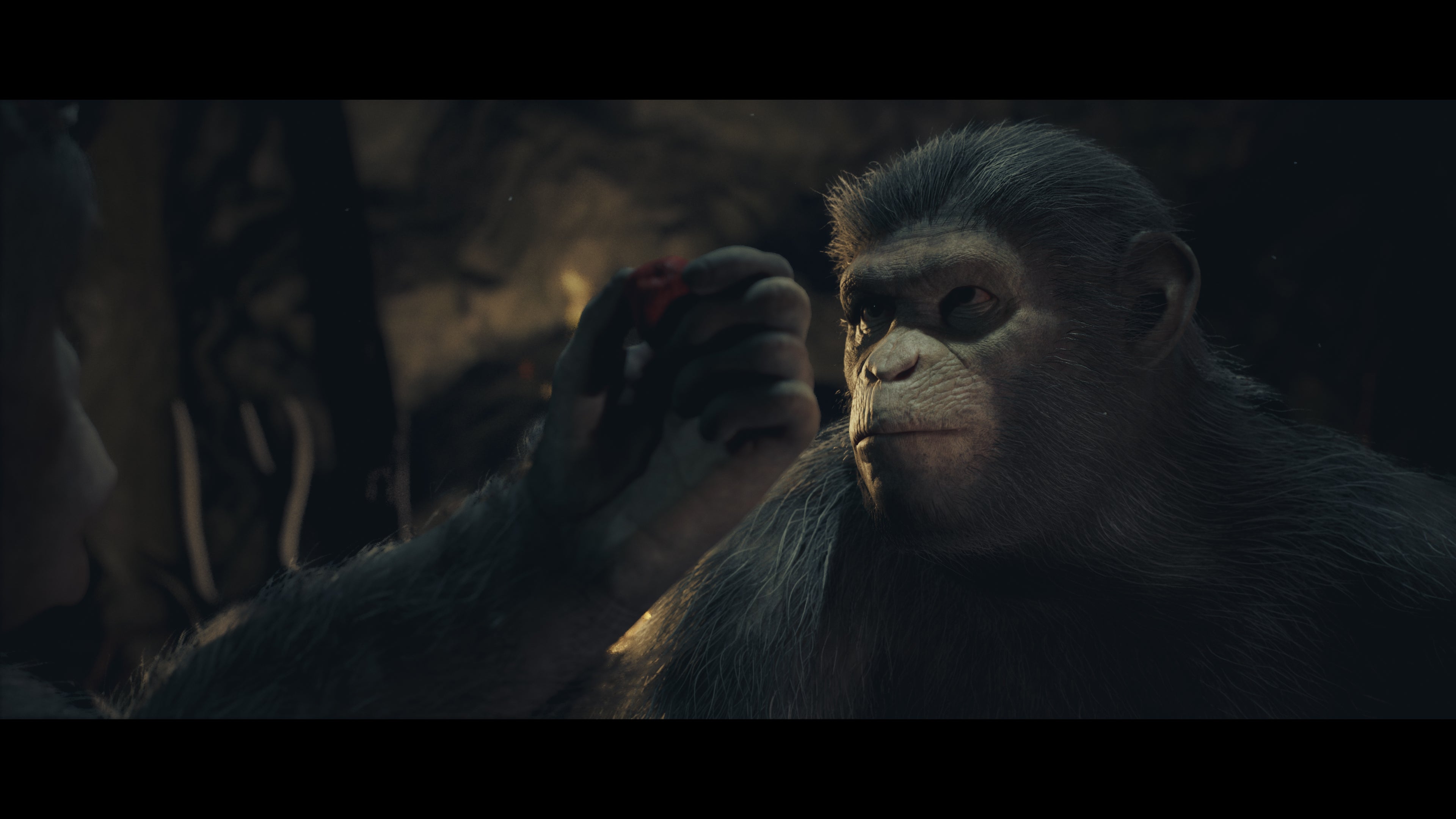 Planet Of The Apes: Last Frontier - PS4 - USA - Version Anglaise - Limited Run Games - Occasion