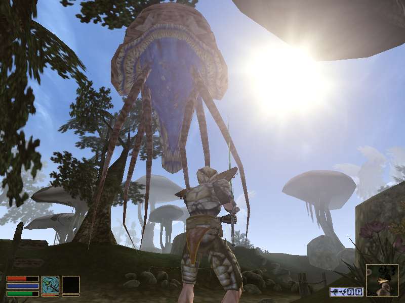 Elder Scrolls III : Morrowind review | Eurogamer.net