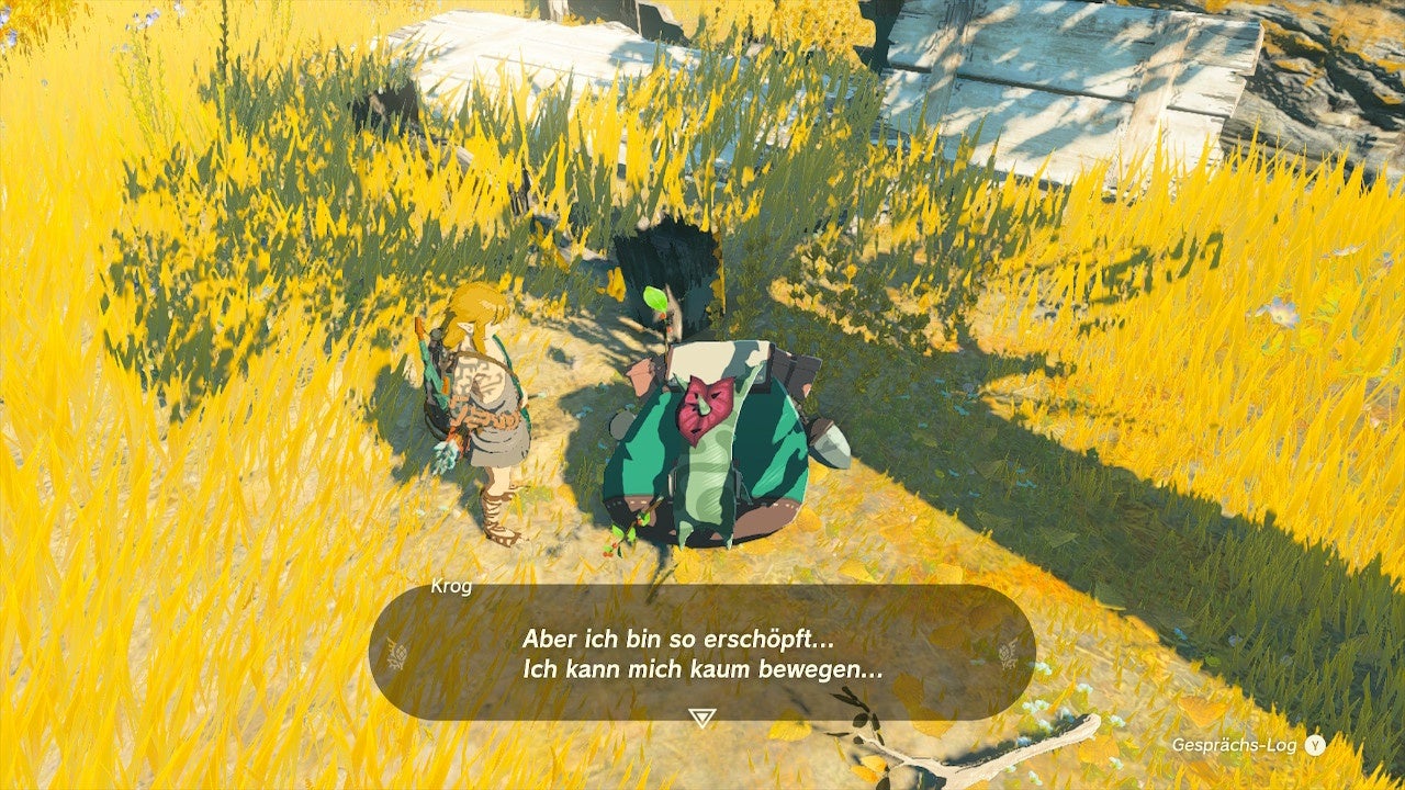 Zelda Tears of the Kingdom: Alle Krogs und Samen finden, Belohnung