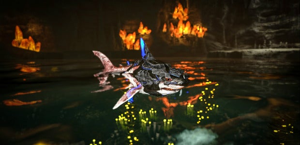 07ark.jpg?width=1600&height=