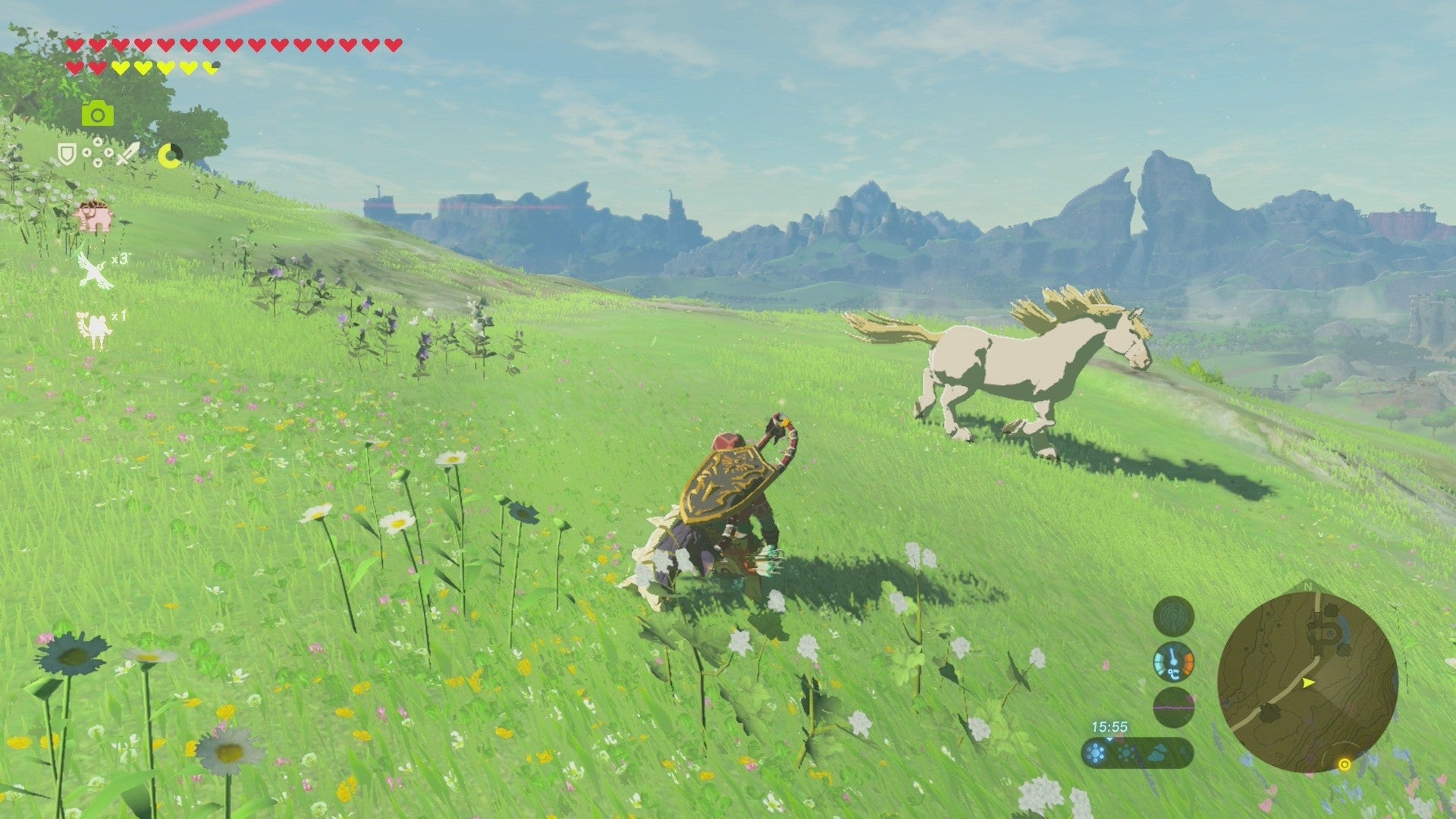 Die Schwarze Serie Zelda