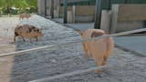 Farming Simulator 22 - świnie: chlew, gnojówka