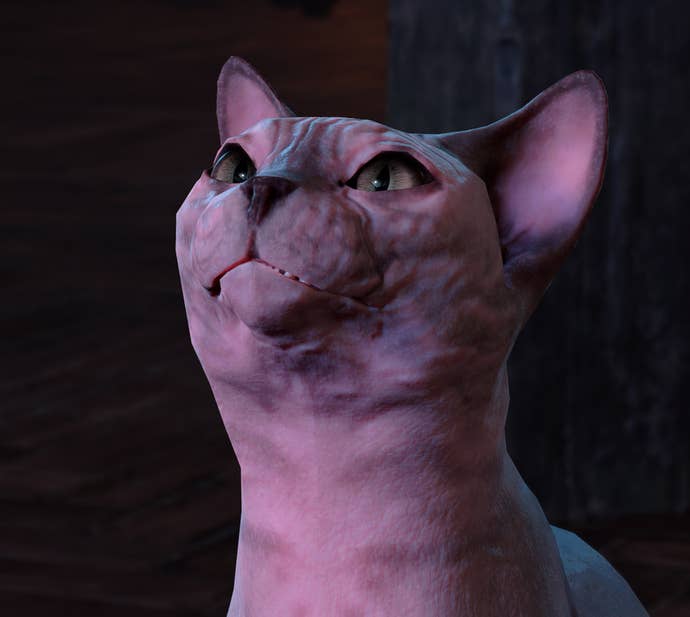 BG3 cat NPC his Majesty with no hair