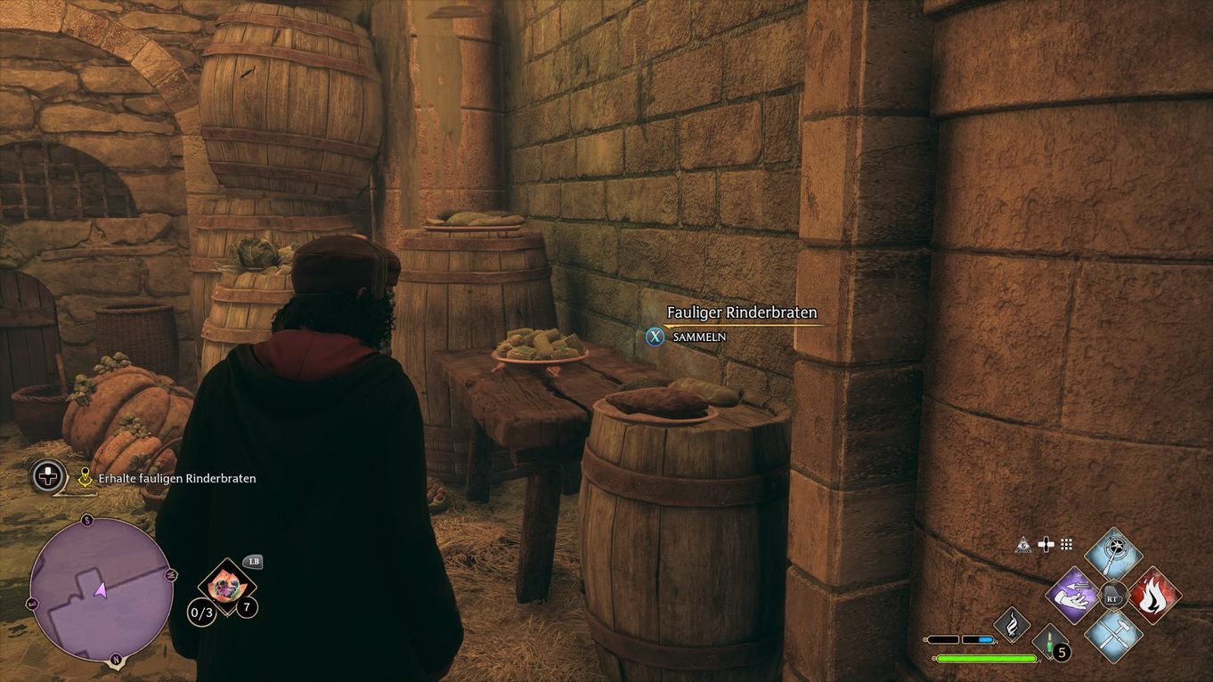 Hogwarts Legacy Die Jagd nach den fehlenden Seiten (GryffindorQuest) Rinderbraten, Kopf in