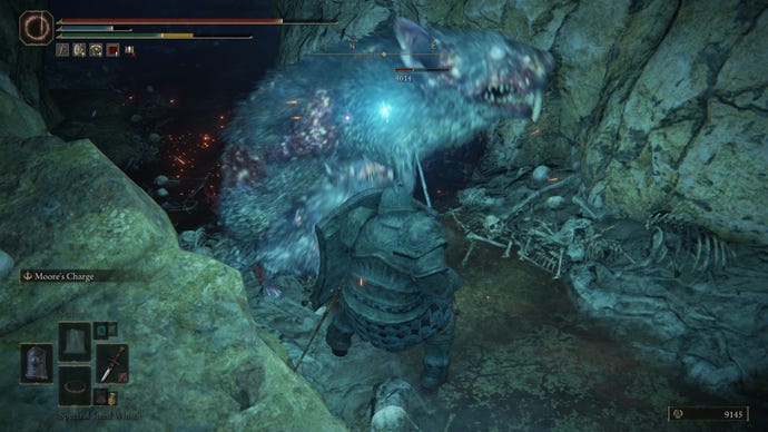 Cortando a una rata gigante en Elden Ring: Shadow of the Erdtree.