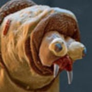 Dan Whitehead avatar