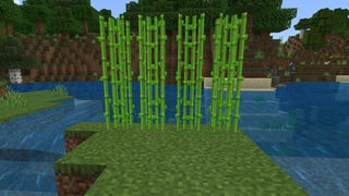 Minecraft - przetrwanie: jak uprawiać pszenicę i trzcinę cukrową (dzień 2)