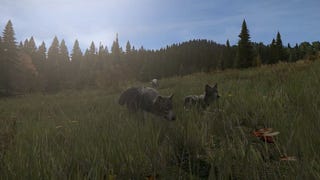 Awooo! DayZ Teases Predatory Animals