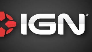 IGN going up for auction