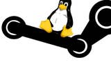 Arranca la beta cerrada de Steam para Linux