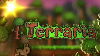 Terraria presenta la sua modalità multiplayer