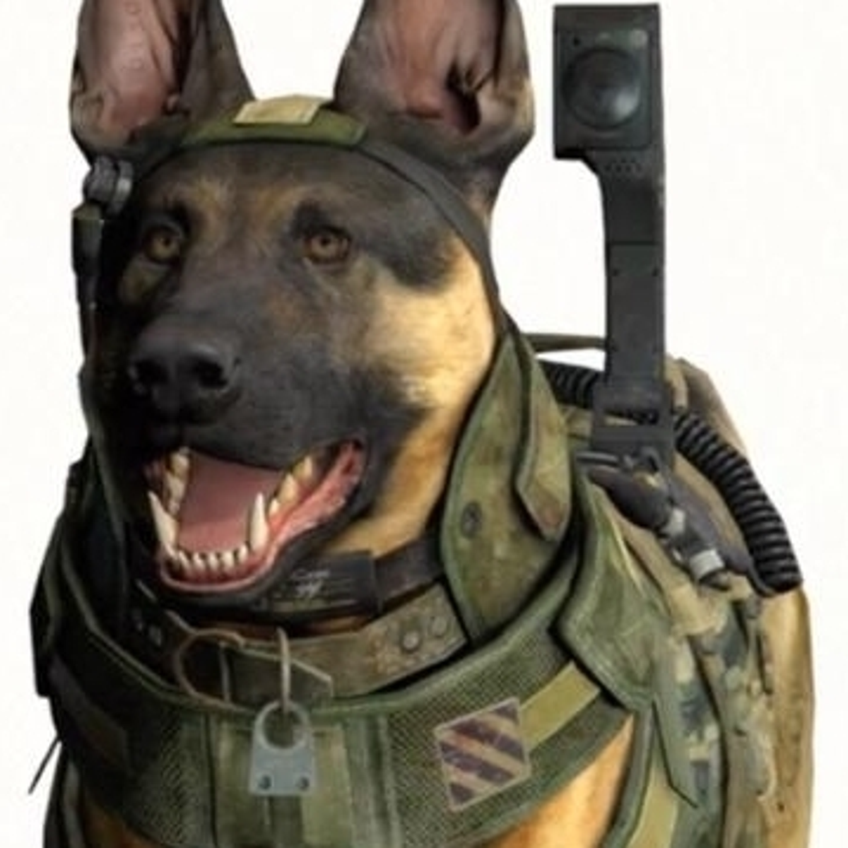 Enemy Dogs Cod Perros De Ataque De Call Of Duty