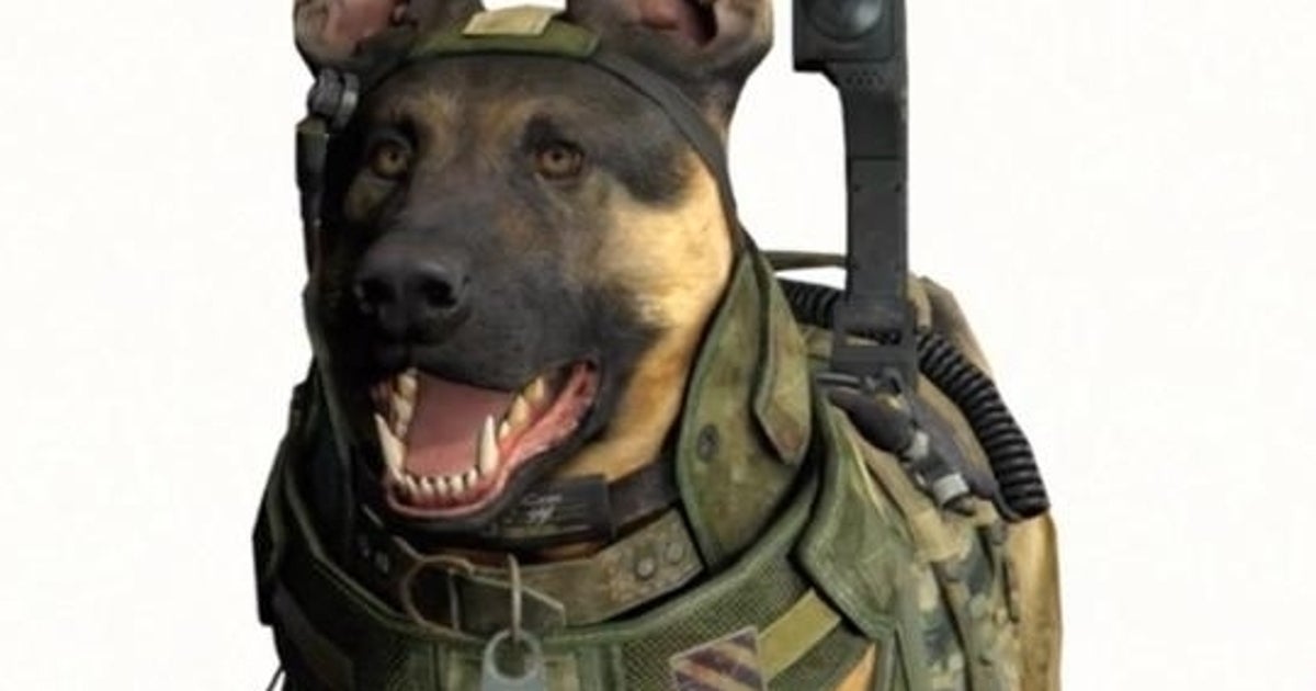 Enemy Dogs Cod Call of Doggie: Ghosts, the CoD game we always wanted | Eurogamer.net