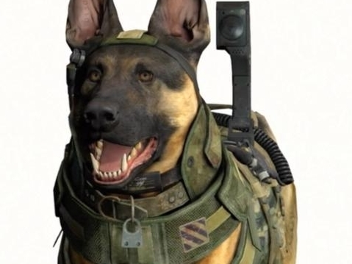 Doggo Codmyt Call Of Duty Doge