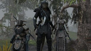 Zenimax ha in programma molti aggiornamenti per The Elder Scrolls Online