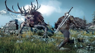 Una (video) prospettiva diversa su The Witcher 3: Wild Hunt
