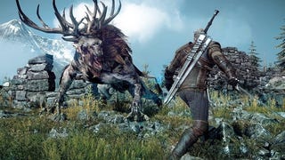 Una (video) prospettiva diversa su The Witcher 3: Wild Hunt