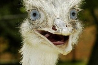 Get $50 GameMaker: Studio for free!