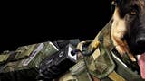 Vlčák Riley z Call of Duty na zimu dostal novou kožešinu
