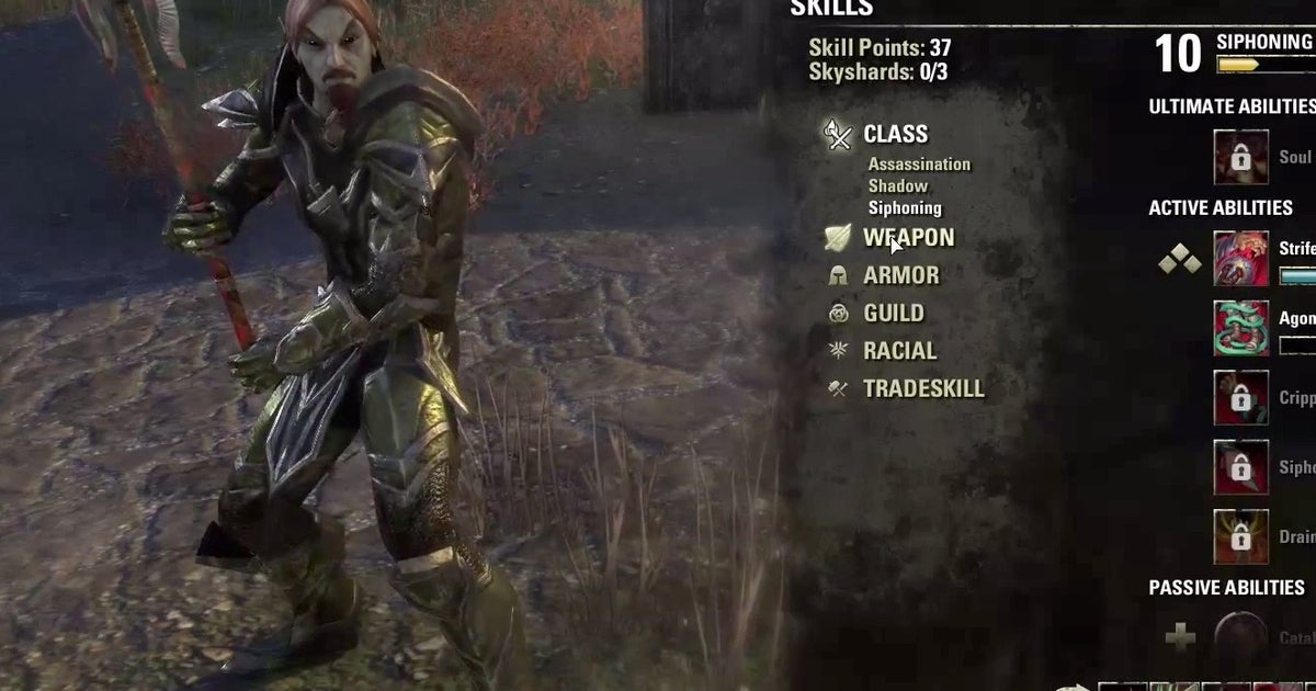 Eso Progression Guide Handsome Elder Scrolls Online video shows character progression ...