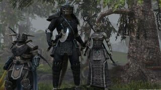 The Elder Scrolls Online: nuovi dettagli sul PvP dai developer