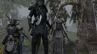 The Elder Scrolls Online: nuovi dettagli sul PvP dai developer