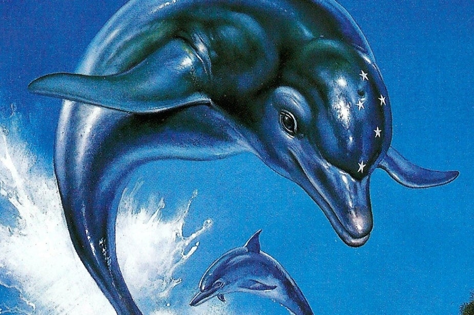 3d ecco the clearance dolphin