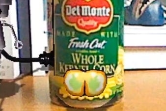 Chibi-Robo! Photo Finder's North American release censors an ass